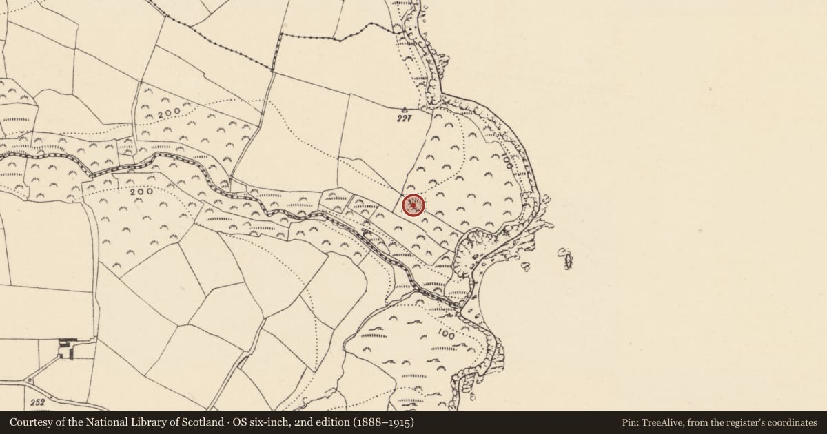 Ordnance Survey six-inch map, 2nd edition (1888–1915) covering the location of Ringfort - unclassified, Baile Uí Churraoin Theas, County Waterford, with a pin at the register's coordinates