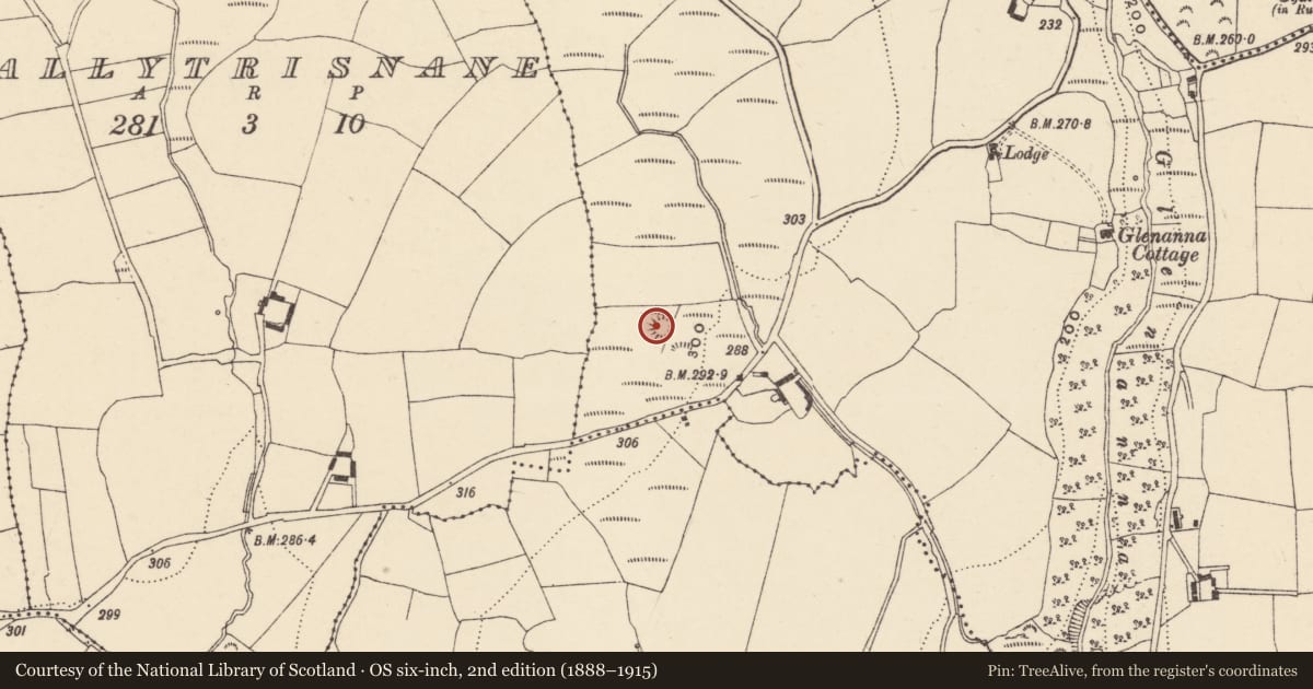 Ordnance Survey six-inch map, 2nd edition (1888–1915) covering the location of Mound, Baile Mhac Airt Uachtarach, County Waterford, with a pin at the register's coordinates