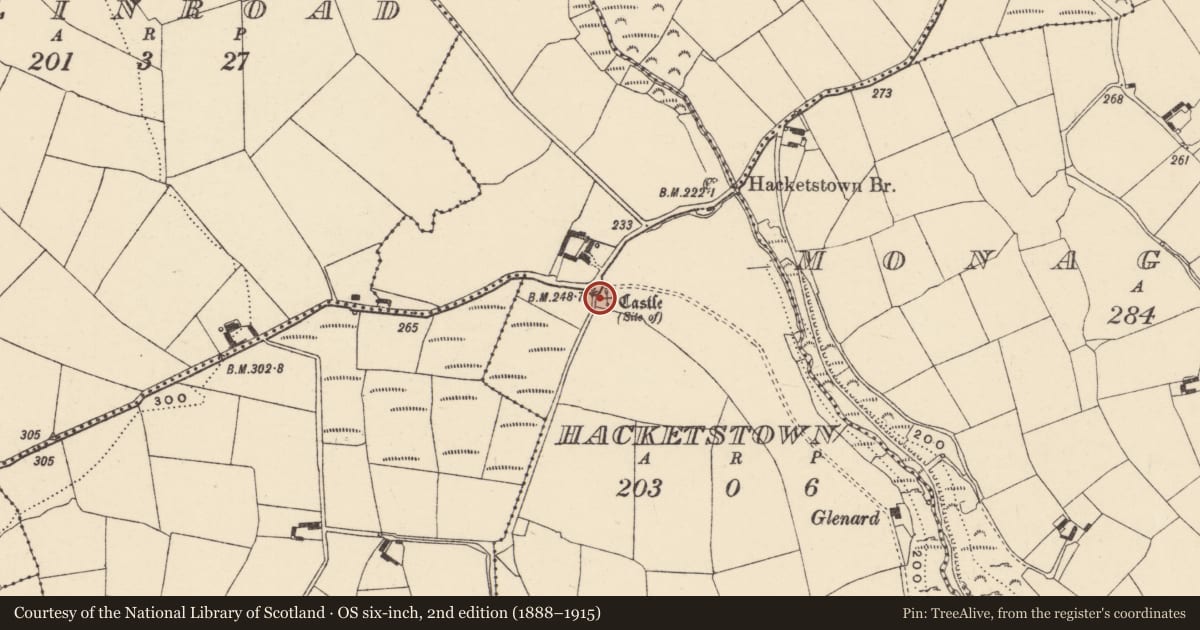 Ordnance Survey six-inch map, 2nd edition (1888–1915) covering the location of Castle - unclassified, Hacketstown, County Waterford, with a pin at the register's coordinates