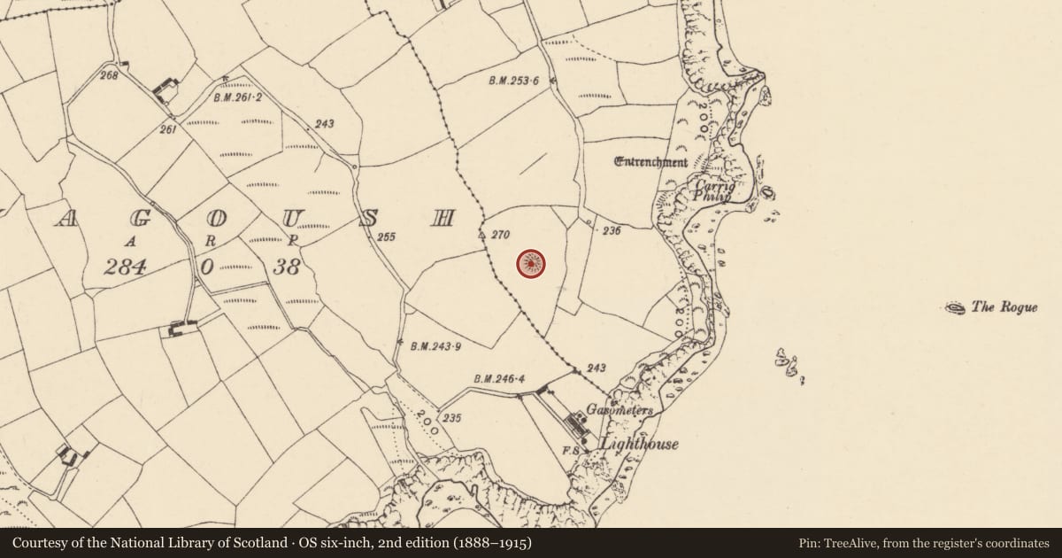 Ordnance Survey six-inch map, 2nd edition (1888–1915) covering the location of Enclosure, Baile Na Móna Íochtarach, County Waterford, with a pin at the register's coordinates