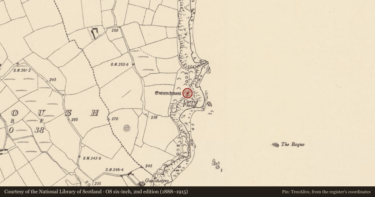 Ordnance Survey six-inch map, 2nd edition (1888–1915) covering the location of Promontory fort - coastal, Baile Na Móna Íochtarach, County Waterford, with a pin at the register's coordinates