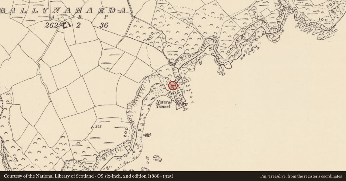 Ordnance Survey six-inch map, 2nd edition (1888–1915) covering the location of Promontory fort - coastal, Ballynaharda, County Waterford, with a pin at the register's coordinates
