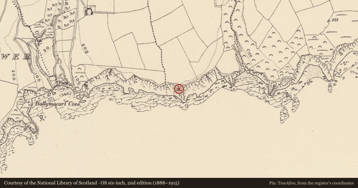 Ordnance Survey six-inch map, 2nd edition (1888–1915) covering the location of Enclosure, Ballykilmurry (Decies within Drum By., Ardmore Par.), County Waterford, with a pin at the register's coordinates