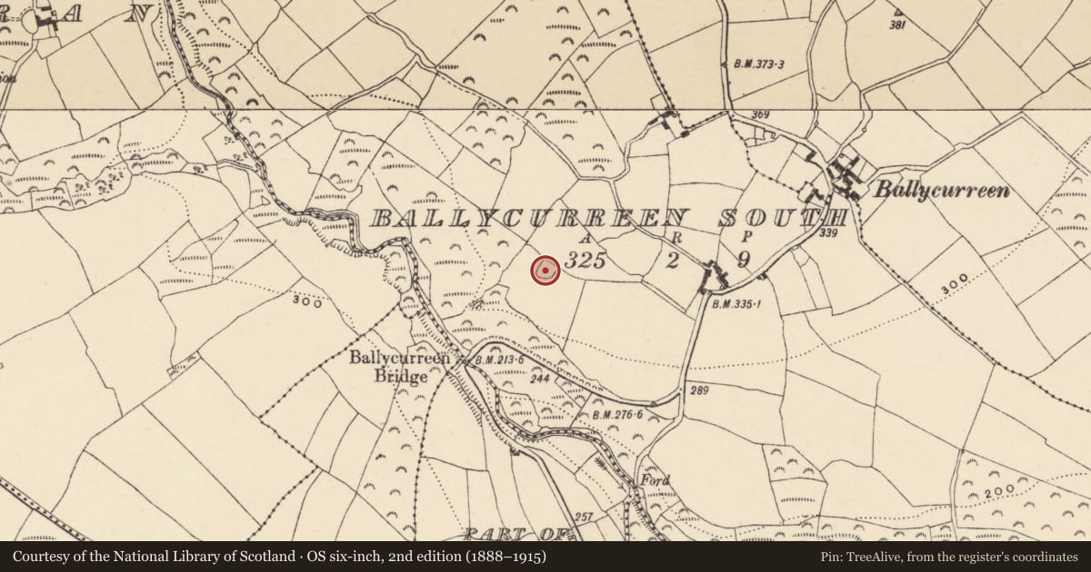 Ordnance Survey six-inch map, 2nd edition (1888–1915) covering the location of Ringfort - rath, Baile Uí Churraoin Theas, County Waterford, with a pin at the register's coordinates