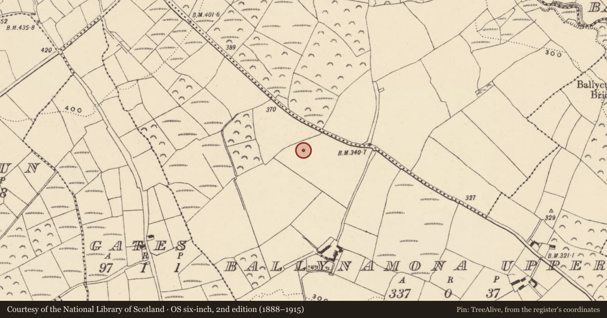 Ordnance Survey six-inch map, 2nd edition (1888–1915) covering the location of Standing stone, Baile Na Móna Uachtarach, County Waterford, with a pin at the register's coordinates