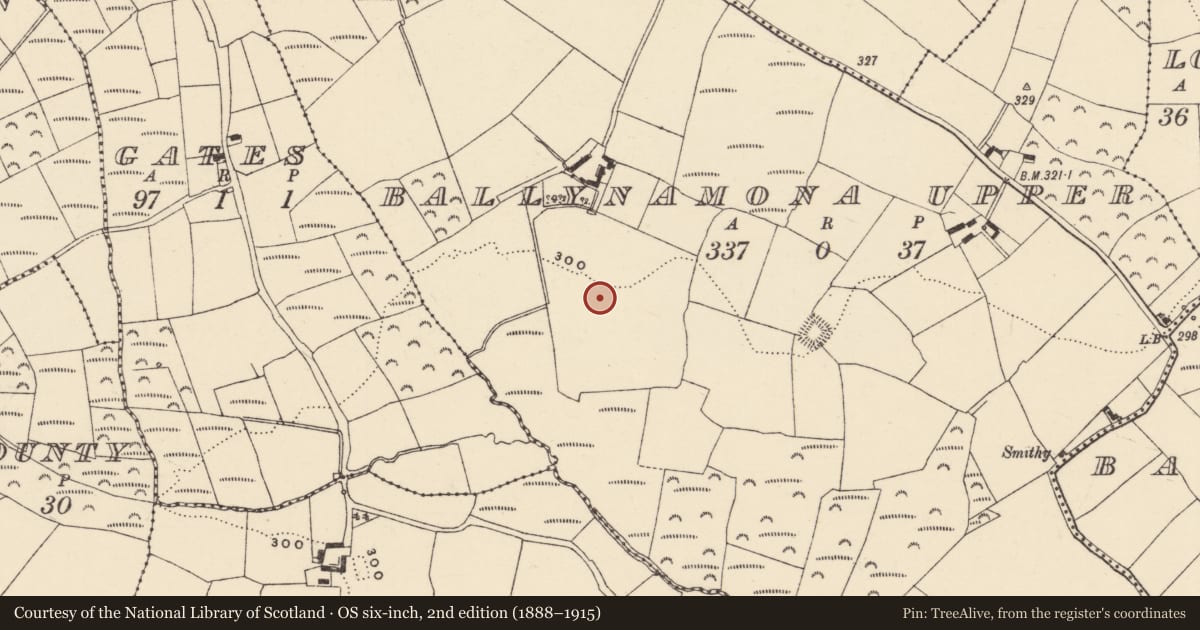 Ordnance Survey six-inch map, 2nd edition (1888–1915) covering the location of Standing stone, Baile Na Móna Uachtarach, County Waterford, with a pin at the register's coordinates