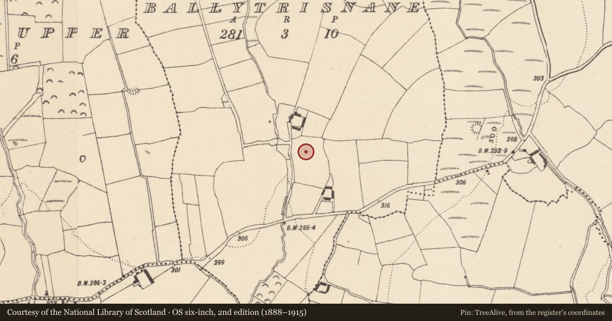 Ordnance Survey six-inch map, 2nd edition (1888–1915) covering the location of Souterrain, Baile Throsnáin, County Waterford, with a pin at the register's coordinates