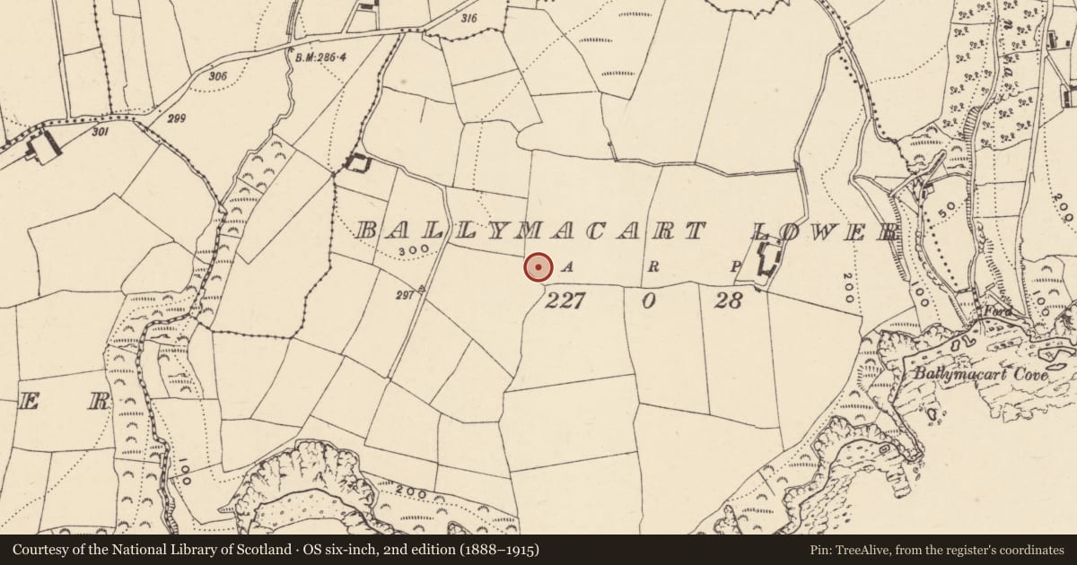 Ordnance Survey six-inch map, 2nd edition (1888–1915) covering the location of Enclosure, Baile Mhac Airt Íochtarach, County Waterford, with a pin at the register's coordinates