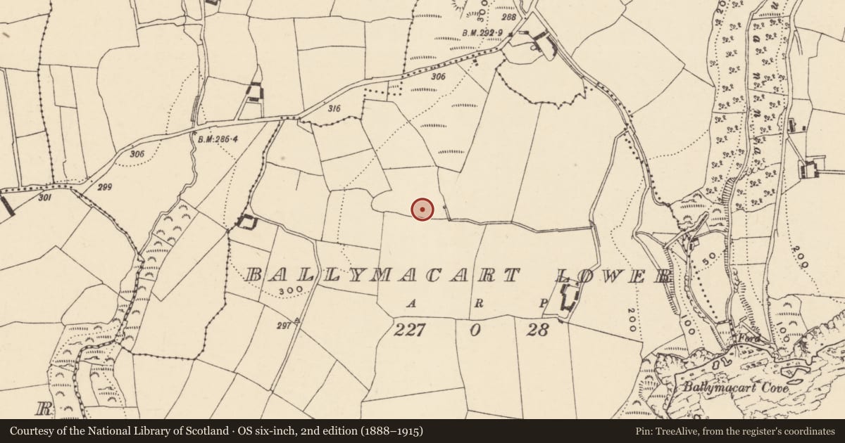 Ordnance Survey six-inch map, 2nd edition (1888–1915) covering the location of Standing stone, Baile Mhac Airt Íochtarach, County Waterford, with a pin at the register's coordinates