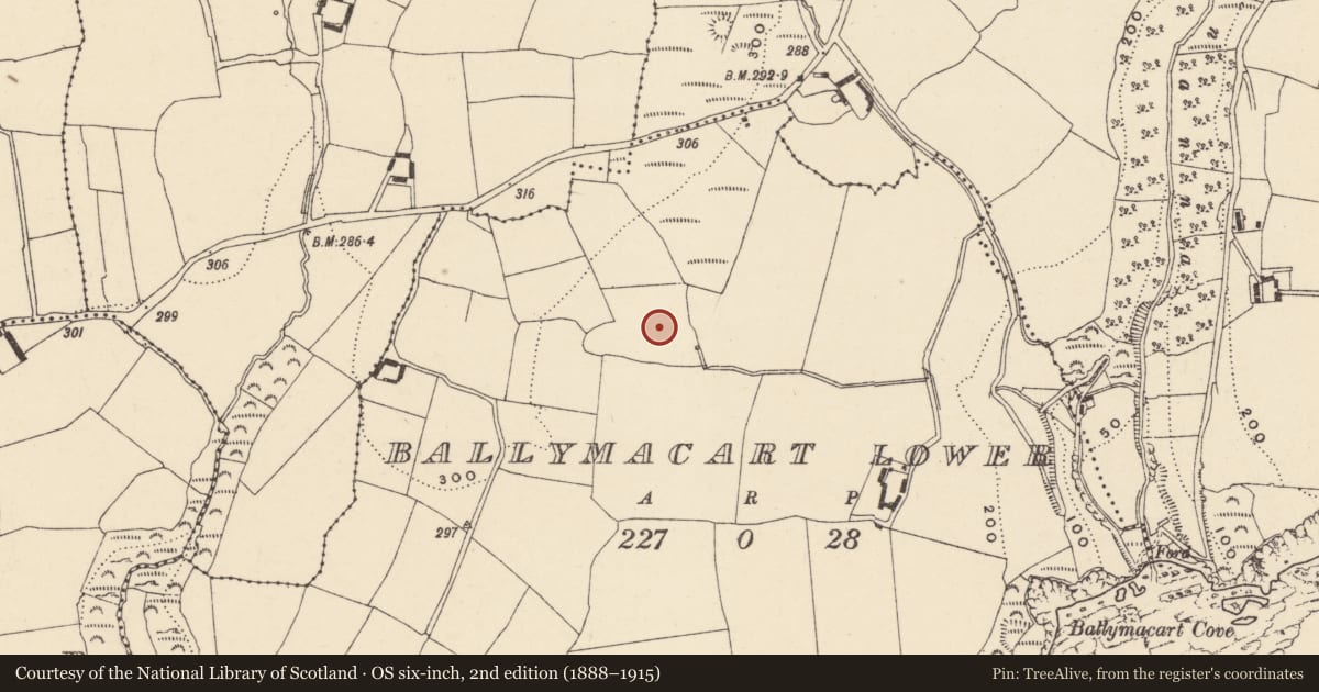 Ordnance Survey six-inch map, 2nd edition (1888–1915) covering the location of Standing stone, Baile Mhac Airt Íochtarach, County Waterford, with a pin at the register's coordinates