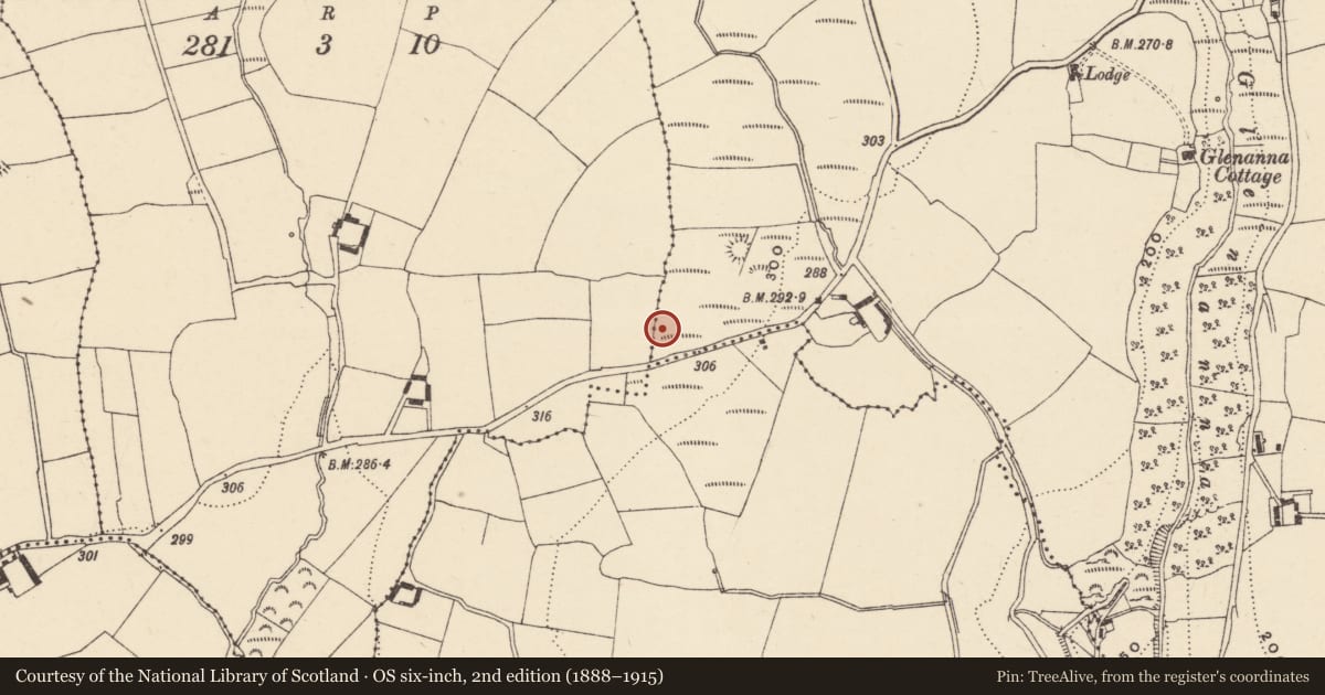 Ordnance Survey six-inch map, 2nd edition (1888–1915) covering the location of Standing stone, Baile Mhac Airt Uachtarach, County Waterford, with a pin at the register's coordinates