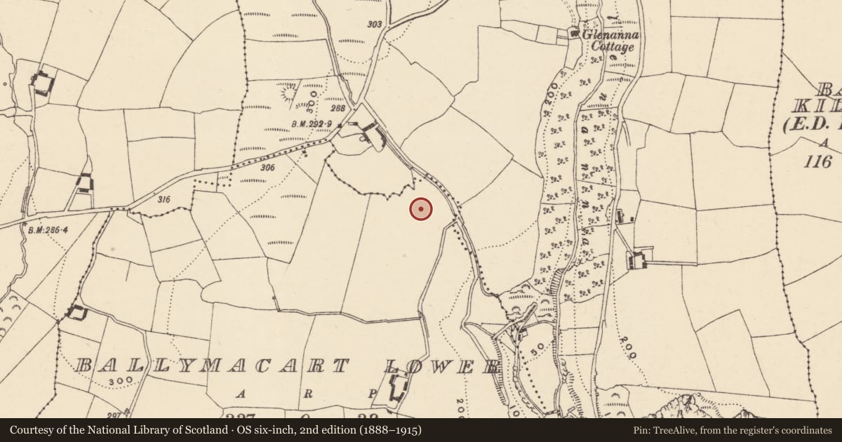Ordnance Survey six-inch map, 2nd edition (1888–1915) covering the location of Fulacht fia, Baile Mhac Airt Íochtarach, County Waterford, with a pin at the register's coordinates
