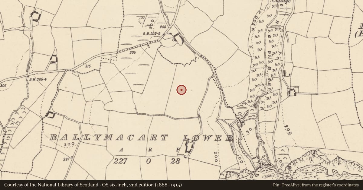 Ordnance Survey six-inch map, 2nd edition (1888–1915) covering the location of Field system, Baile Mhac Airt Íochtarach, County Waterford, with a pin at the register's coordinates