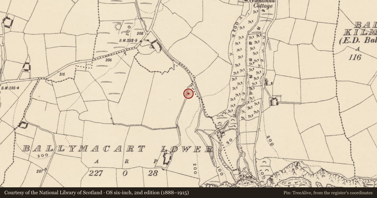 Ordnance Survey six-inch map, 2nd edition (1888–1915) covering the location of House - indeterminate date, Baile Mhac Airt Íochtarach, County Waterford, with a pin at the register's coordinates