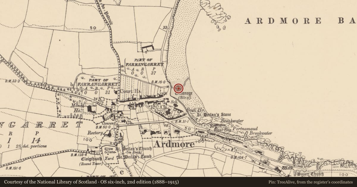 Ordnance Survey six-inch map, 2nd edition (1888–1915) covering the location of Hut site, Duffcarrick, County Waterford, with a pin at the register's coordinates