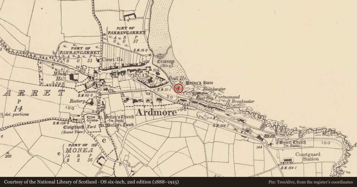 Ordnance Survey six-inch map, 2nd edition (1888–1915) covering the location of Ritual site - holy/saint's stone, Duffcarrick, County Waterford, with a pin at the register's coordinates