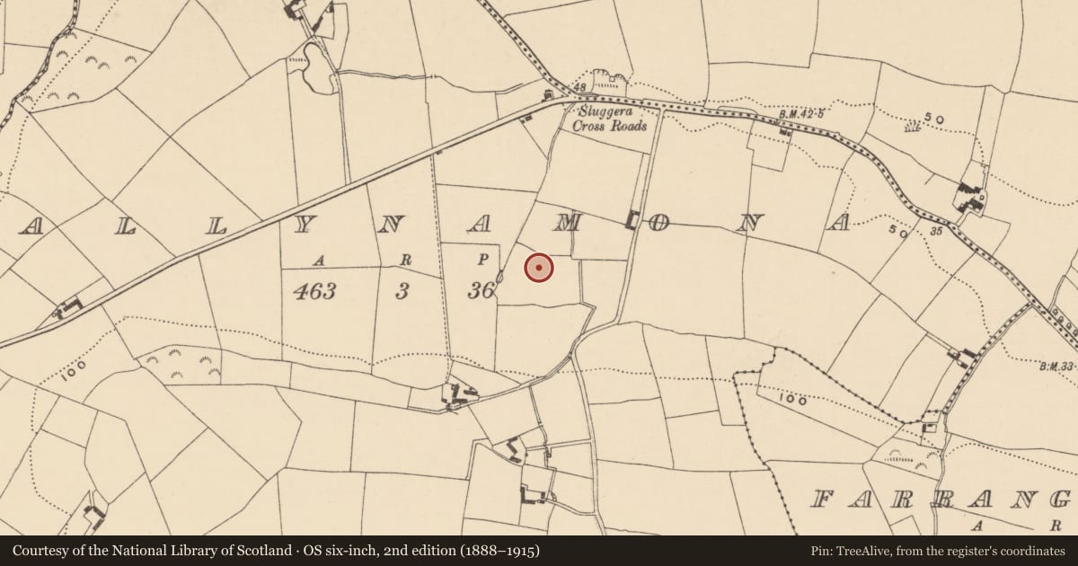 Ordnance Survey six-inch map, 2nd edition (1888–1915) covering the location of Enclosure, Ballynamona, County Waterford, with a pin at the register's coordinates