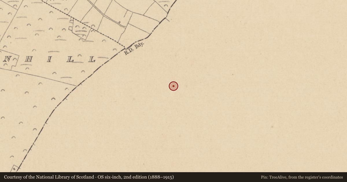 Ordnance Survey six-inch map, 2nd edition (1888–1915) covering the location of Enclosure, Tinode, County Wicklow, with a pin at the register's coordinates