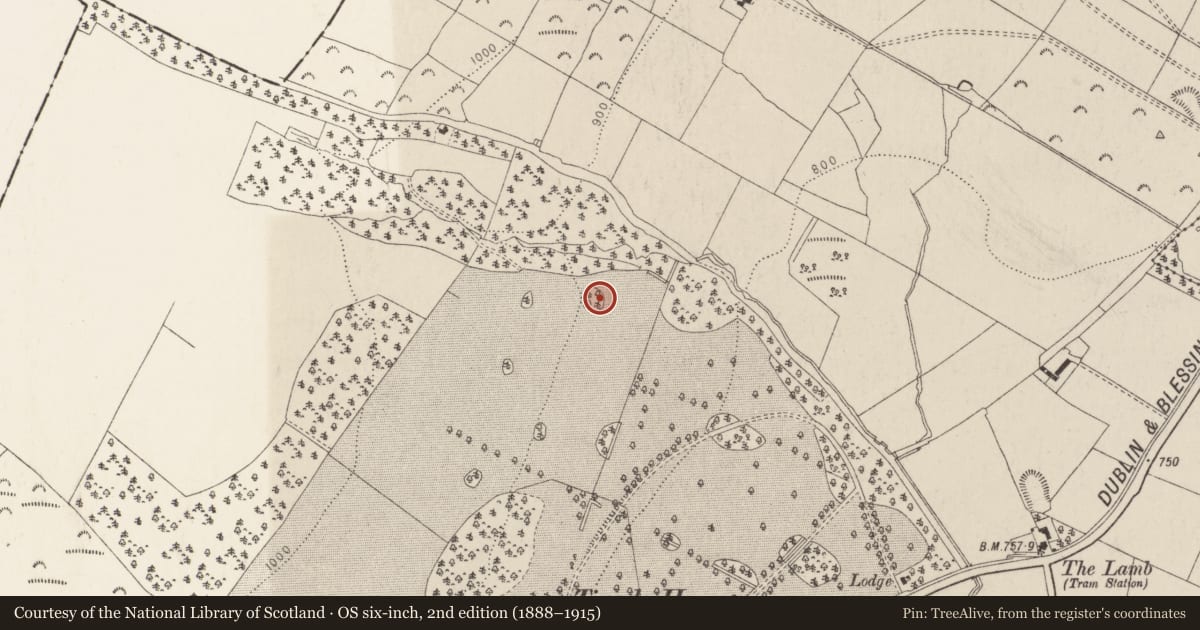 Ordnance Survey six-inch map, 2nd edition (1888–1915) covering the location of Designed landscape - tree-ring, Tinode, County Wicklow, with a pin at the register's coordinates