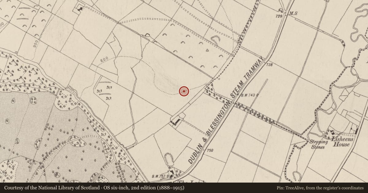 Ordnance Survey six-inch map, 2nd edition (1888–1915) covering the location of Enclosure, Tinode, County Wicklow, with a pin at the register's coordinates
