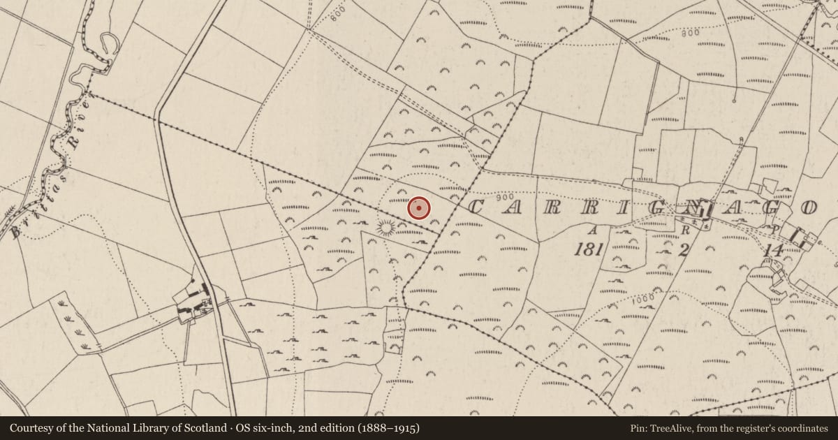 Ordnance Survey six-inch map, 2nd edition (1888–1915) covering the location of Enclosure, Lisheens, County Wicklow, with a pin at the register's coordinates