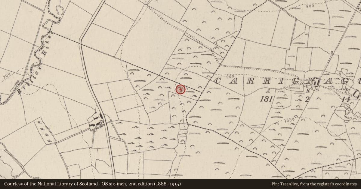 Ordnance Survey six-inch map, 2nd edition (1888–1915) covering the location of Ringfort - rath, Kilbride, County Wicklow, with a pin at the register's coordinates