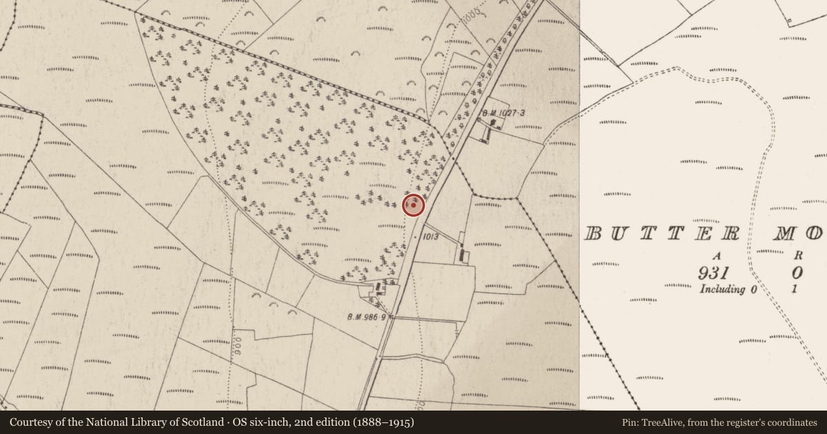 Ordnance Survey six-inch map, 2nd edition (1888–1915) covering the location of Cairn - ring-cairn, Ballyfolan, County Wicklow, with a pin at the register's coordinates