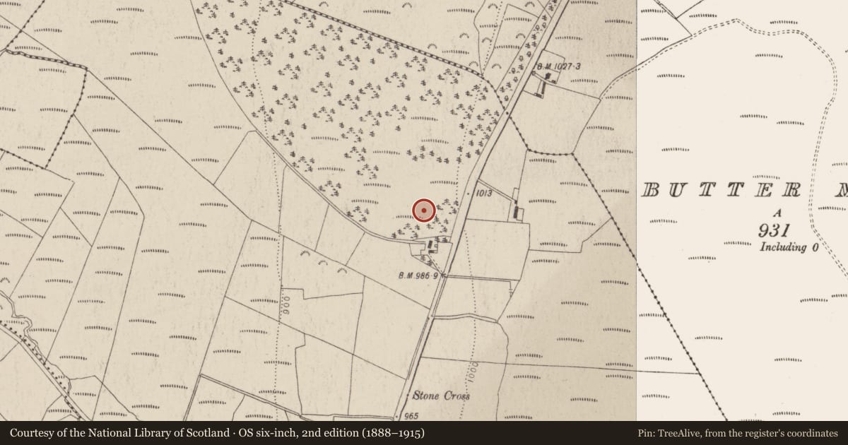 Ordnance Survey six-inch map, 2nd edition (1888–1915) covering the location of Enclosure, Ballyfolan, County Wicklow, with a pin at the register's coordinates