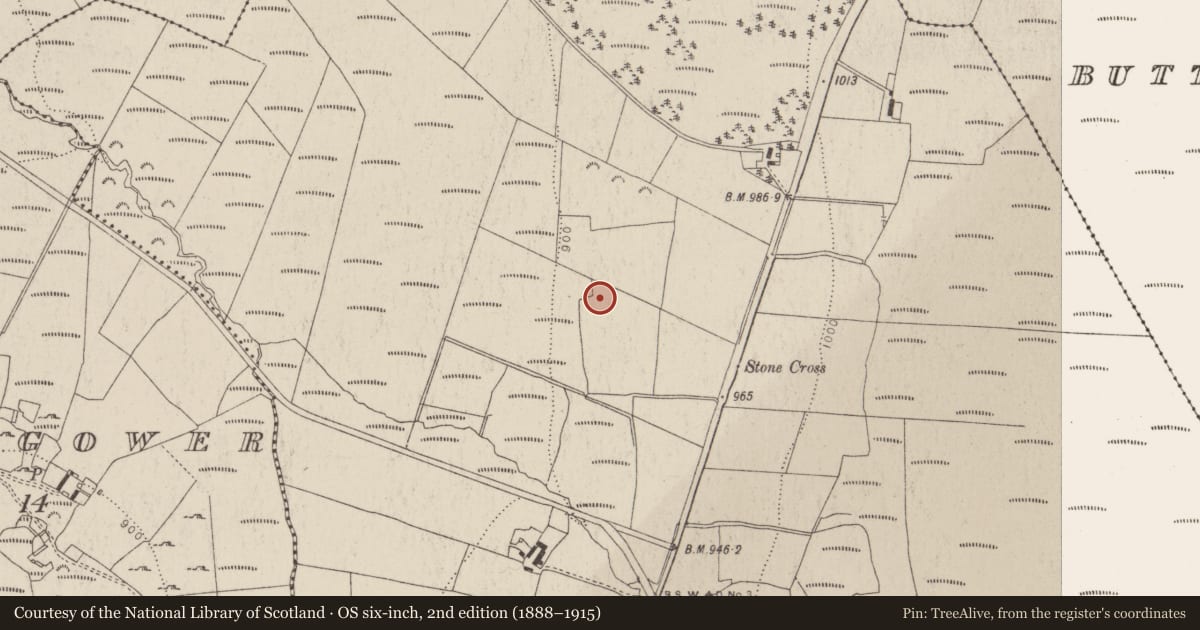 Ordnance Survey six-inch map, 2nd edition (1888–1915) covering the location of Enclosure, Ballyfolan, County Wicklow, with a pin at the register's coordinates