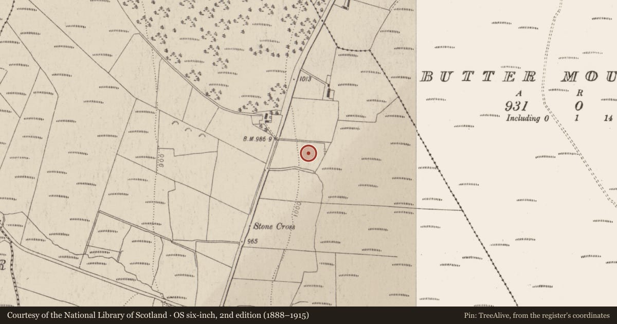 Ordnance Survey six-inch map, 2nd edition (1888–1915) covering the location of Enclosure, Ballyfolan, County Wicklow, with a pin at the register's coordinates