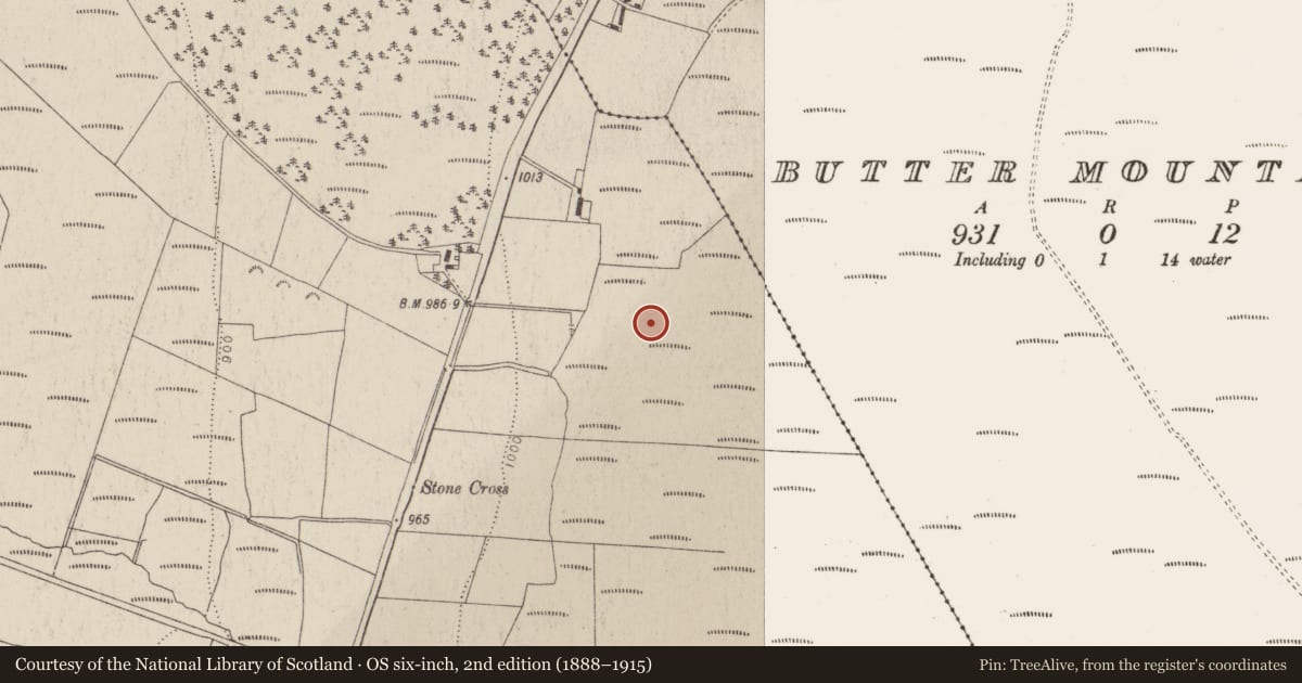 Ordnance Survey six-inch map, 2nd edition (1888–1915) covering the location of Hut site, Ballyfolan, County Wicklow, with a pin at the register's coordinates
