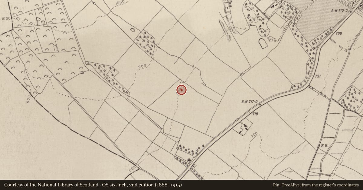 Ordnance Survey six-inch map, 2nd edition (1888–1915) covering the location of Enclosure, Tinode, County Wicklow, with a pin at the register's coordinates