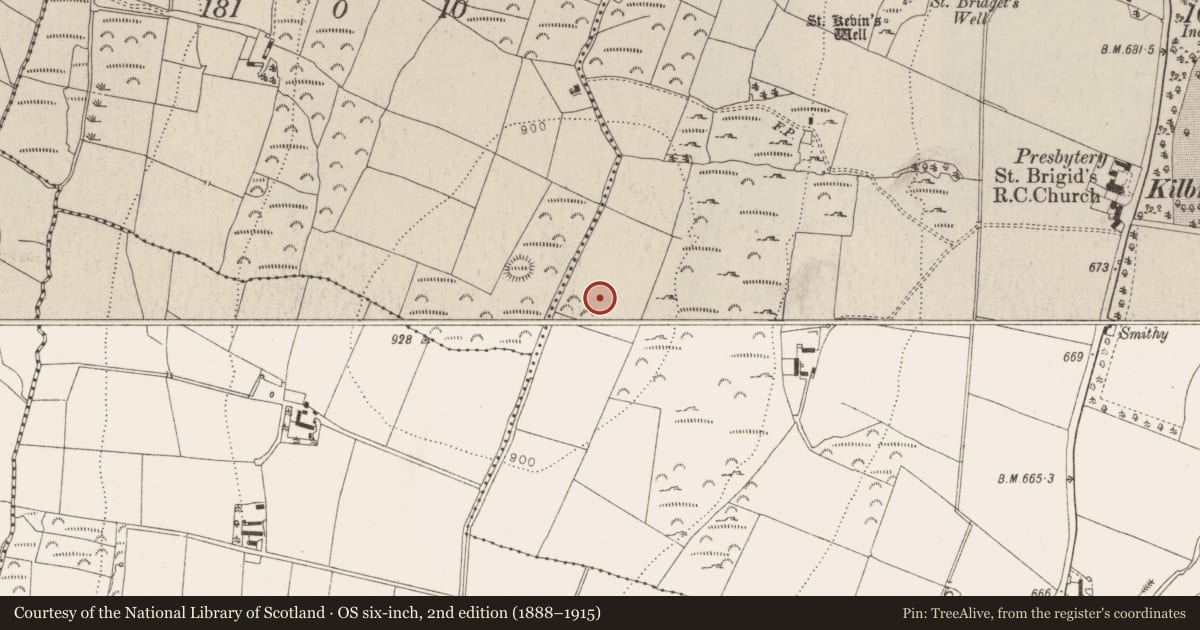 Ordnance Survey six-inch map, 2nd edition (1888–1915) covering the location of Cairn - unclassified, Kilbride, County Wicklow, with a pin at the register's coordinates