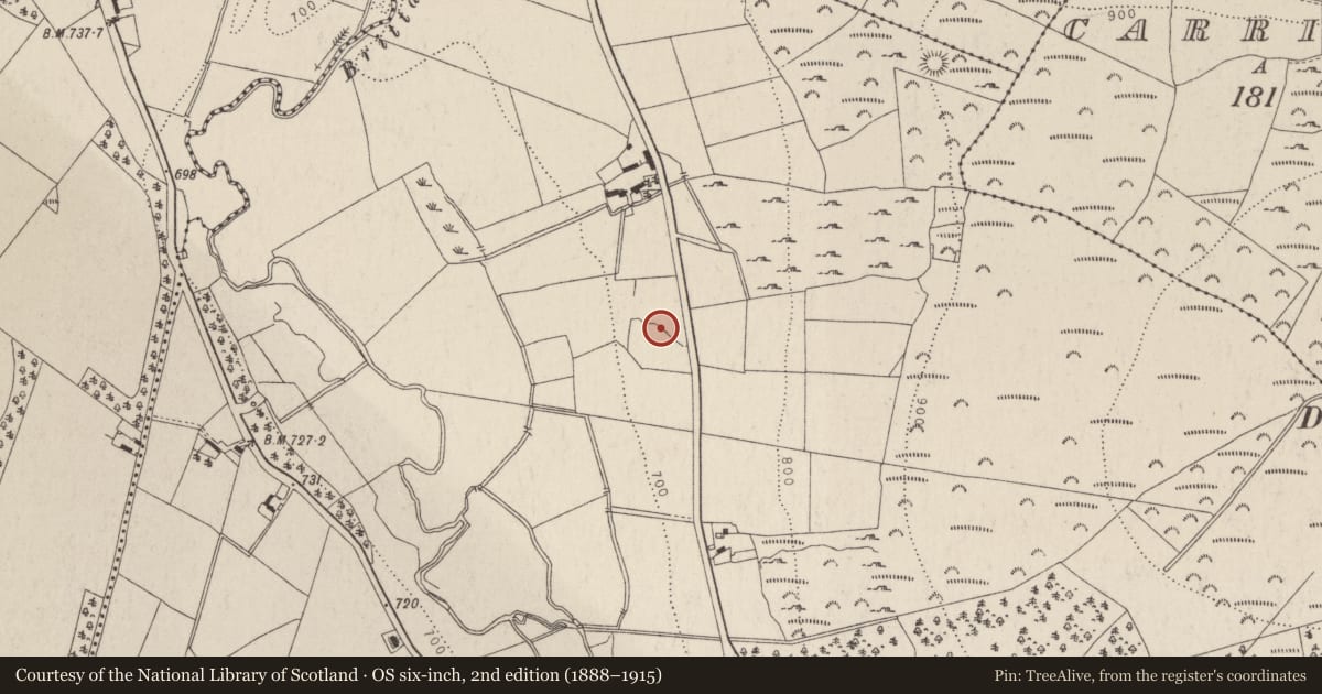 Ordnance Survey six-inch map, 2nd edition (1888–1915) covering the location of Enclosure, Kilbride, County Wicklow, with a pin at the register's coordinates