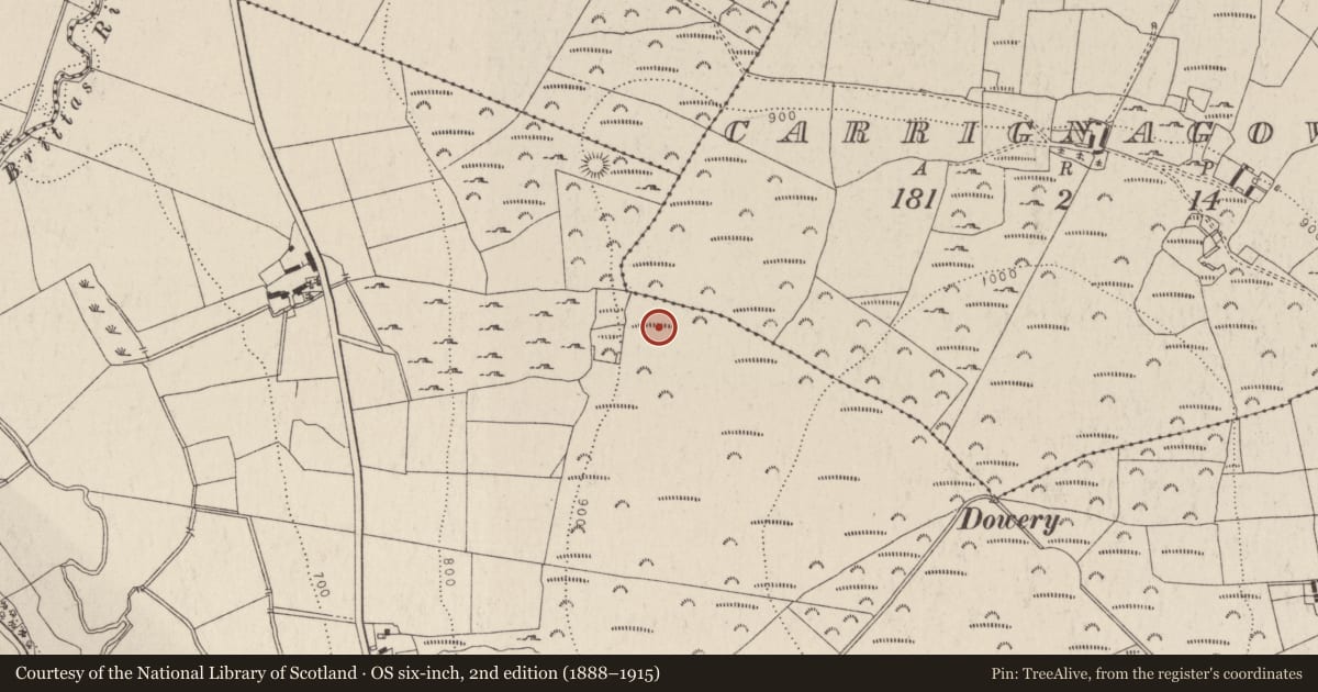 Ordnance Survey six-inch map, 2nd edition (1888–1915) covering the location of Field system, Carrignagower, County Wicklow, with a pin at the register's coordinates