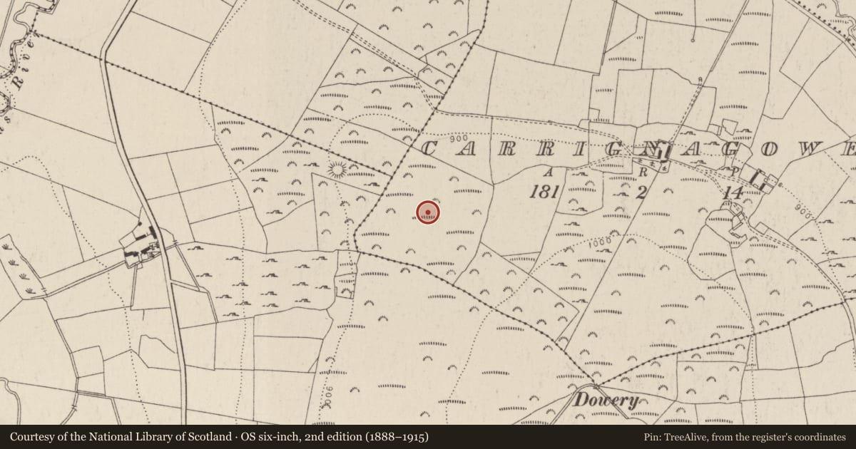 Ordnance Survey six-inch map, 2nd edition (1888–1915) covering the location of Cairn - unclassified, Carrignagower, County Wicklow, with a pin at the register's coordinates