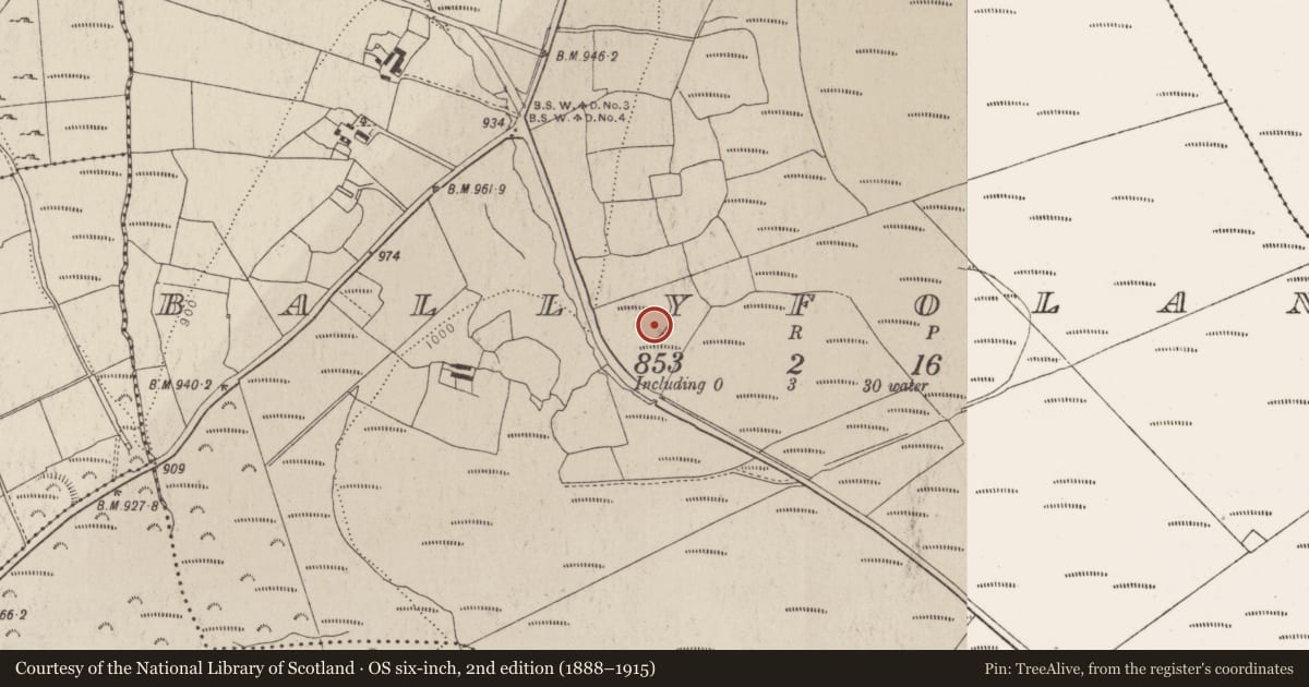 Ordnance Survey six-inch map, 2nd edition (1888–1915) covering the location of Hut site, Ballyfolan, County Wicklow, with a pin at the register's coordinates