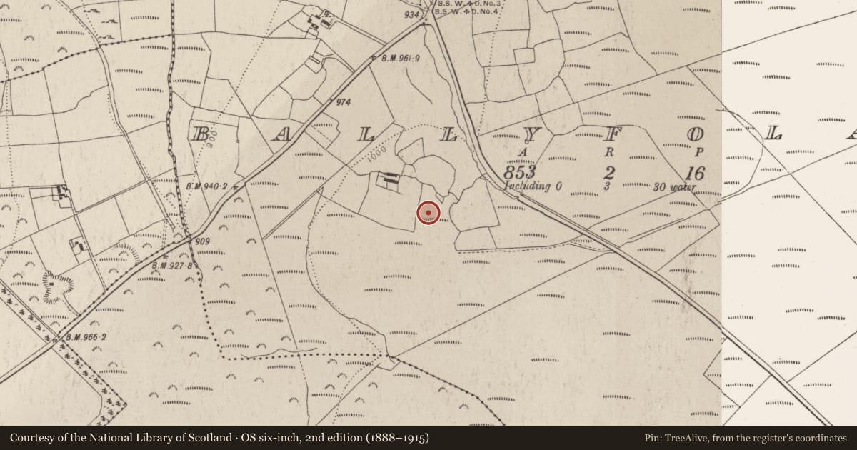 Ordnance Survey six-inch map, 2nd edition (1888–1915) covering the location of Settlement deserted - medieval, Ballyfolan, County Wicklow, with a pin at the register's coordinates