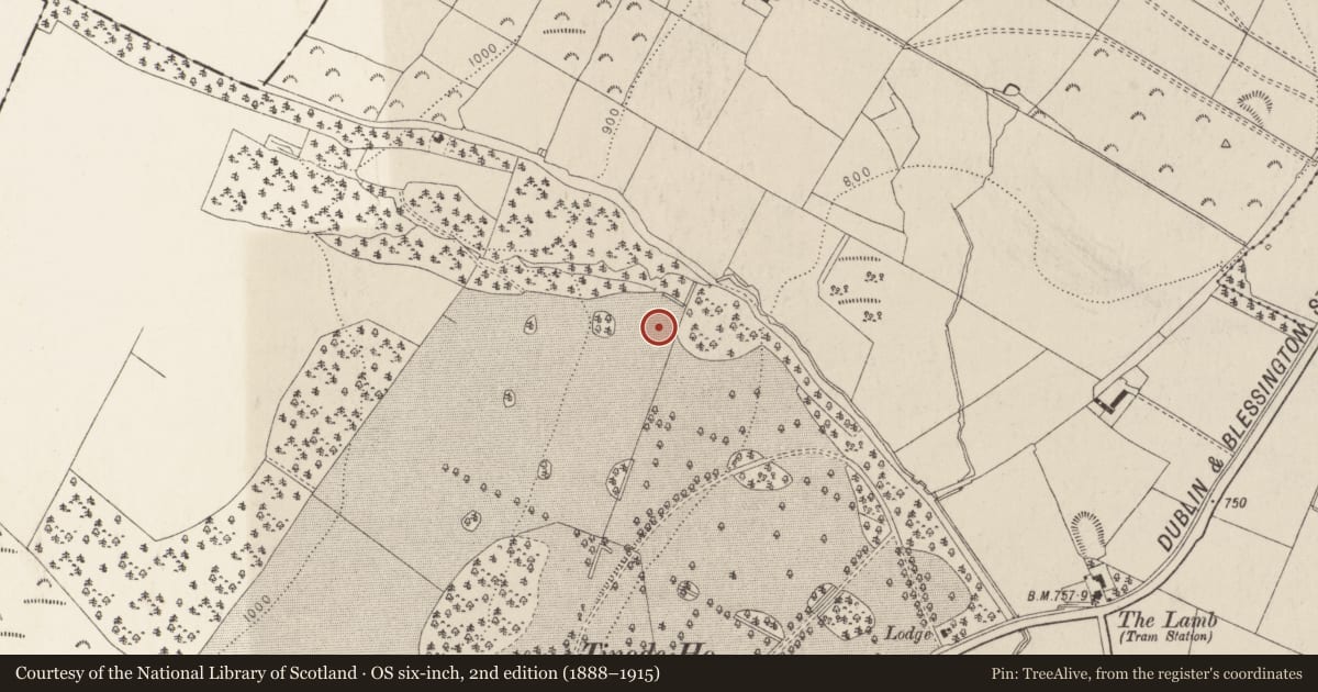 Ordnance Survey six-inch map, 2nd edition (1888–1915) covering the location of Standing stone, Tinode, County Wicklow, with a pin at the register's coordinates