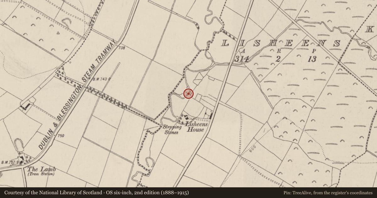 Ordnance Survey six-inch map, 2nd edition (1888–1915) covering the location of Water mill - horizontal-wheeled, Lisheens, County Wicklow, with a pin at the register's coordinates