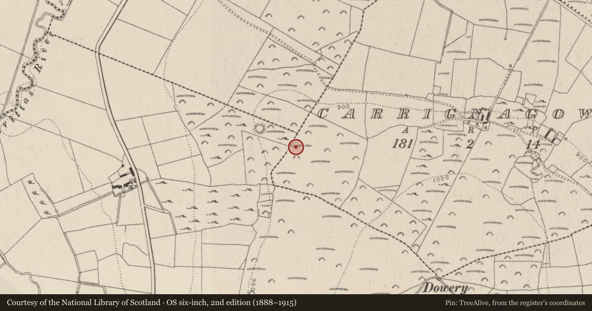 Ordnance Survey six-inch map, 2nd edition (1888–1915) covering the location of Cross-inscribed stone, Carrignagower, County Wicklow, with a pin at the register's coordinates