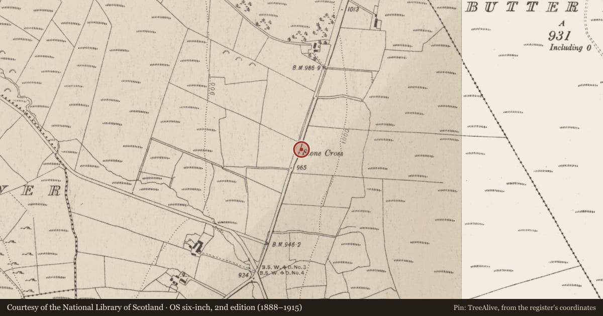 Ordnance Survey six-inch map, 2nd edition (1888–1915) covering the location of Cross, Ballyfolan, County Wicklow, with a pin at the register's coordinates