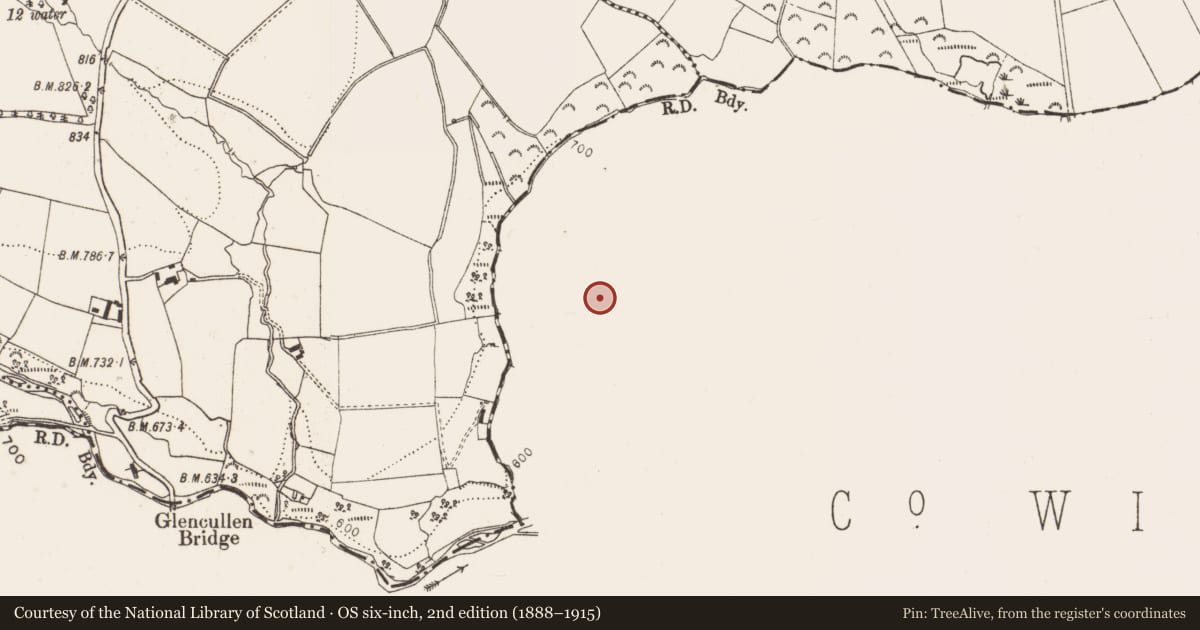 Ordnance Survey six-inch map, 2nd edition (1888–1915) covering the location of Enclosure, Killegar, County Wicklow, with a pin at the register's coordinates