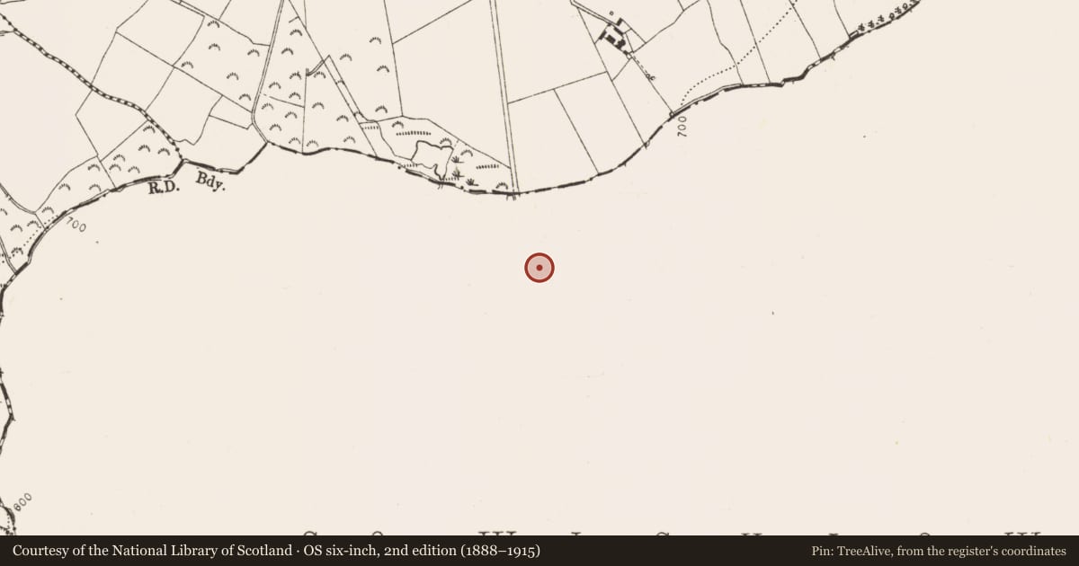 Ordnance Survey six-inch map, 2nd edition (1888–1915) covering the location of Ringfort - rath, Killegar, County Wicklow, with a pin at the register's coordinates