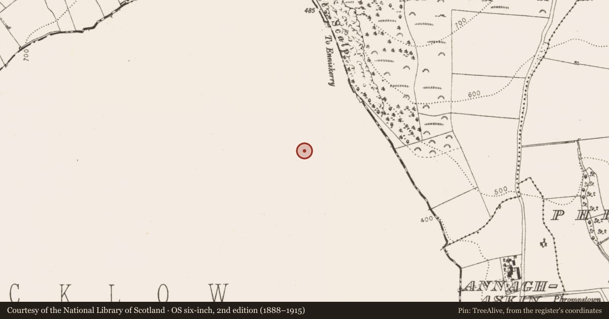 Ordnance Survey six-inch map, 2nd edition (1888–1915) covering the location of Ringfort - cashel, Killegar, County Wicklow, with a pin at the register's coordinates