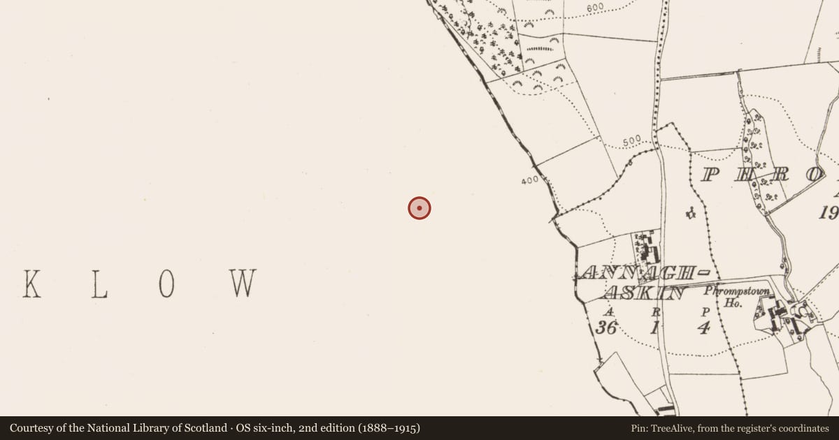 Ordnance Survey six-inch map, 2nd edition (1888–1915) covering the location of Ritual site - holy well, Killegar, County Wicklow, with a pin at the register's coordinates