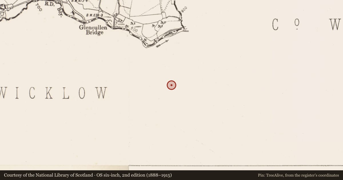 Ordnance Survey six-inch map, 2nd edition (1888–1915) covering the location of Enclosure, Ballybrew, County Wicklow, with a pin at the register's coordinates