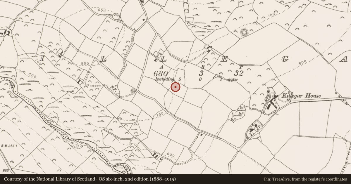 Ordnance Survey six-inch map, 2nd edition (1888–1915) covering the location of Enclosure, Killegar, County Wicklow, with a pin at the register's coordinates