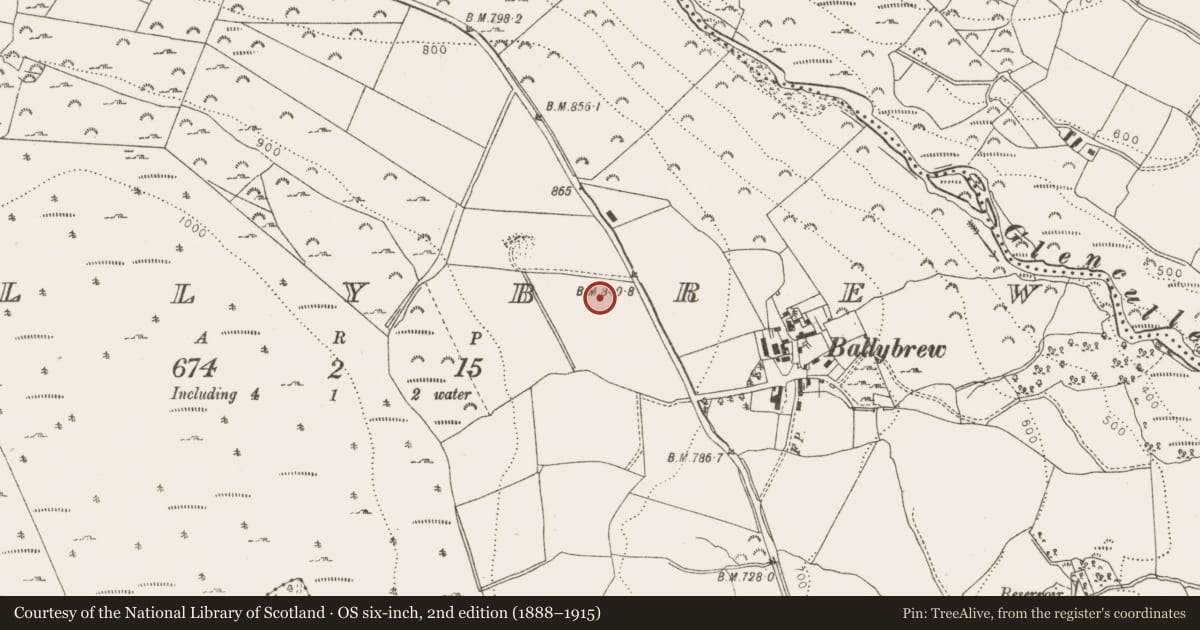 Ordnance Survey six-inch map, 2nd edition (1888–1915) covering the location of Enclosure, Ballybrew, County Wicklow, with a pin at the register's coordinates