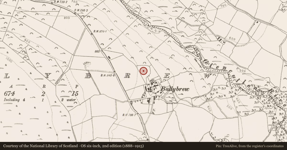 Ordnance Survey six-inch map, 2nd edition (1888–1915) covering the location of Enclosure, Ballybrew, County Wicklow, with a pin at the register's coordinates